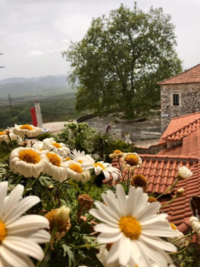 Apartment Muzhaqi Nivice